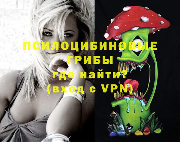 стаф Бронницы
