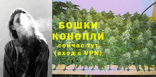 стаф Бронницы