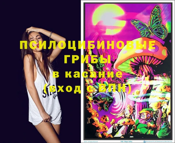 эйфоретик Бабаево